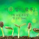 어른을 위한 그림책 테라피 | &lt;어른을 위한 그림책테라피&gt; 마음 발아(發芽) (2025.11.26 온라인 ZOOM)