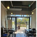 양이야기 이미지