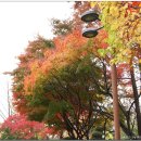 자매공원 이미지