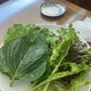 옛날우렁이식당3호점 | [당진] 우렁이정식 맛집｜쯔양도 다녀간 옛날우렁이식당 3호점 솔직후기