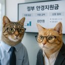 오렌즈 동인천점(안경) | 서울 어린이 안경 할인 쿠폰 써봤어요! 실제 사용 후기와 신청 방법 총정리