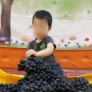 흥덕어린이집 네이버블로그
