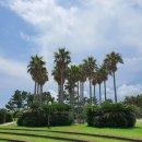 중문대포주상절리대 이미지