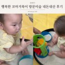 행복한 꼬마 거북이 | [공지] 유아방문미술 행꼬 행복한꼬마거북이 광주 오감놀이 내돈내산 가격