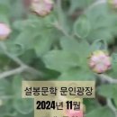 설봉문학 / 설봉문인협회 2024년 11월 문인광장 / 주제: "국화" 이미지