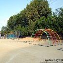 삼덕초등학교 이미지