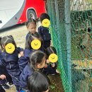 광릉어린이집 이미지