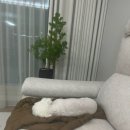 또바기약국 이미지