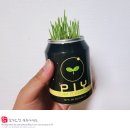 새싹유치원, 연세유치원 | [파이캔] 홈가드닝 아이교육 새싹채소 식물키우기 키트