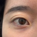 분당-127 | 분당 속눈썹 속눈썹펌 속눈썹연장 :: 래쉬무아르ㅣ편안하고 유지력까지 좋은 속눈썹 맛집 첫 방문 후기