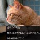 종로솔데스크 CCNP학원 네트워크엔지니어학원추천 이미지