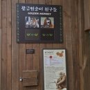 스카이에비뉴트레블(주) | 혼자 에버랜드 다녀온 후기 1편