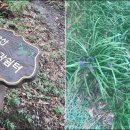 둘래아구찜 이미지