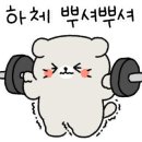 메리봉봉 다정점 이미지