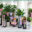 포미성형외과의원 이미지