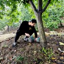 공주알밤농원 - 공주시 우금티로 625 | 공주알밤농원