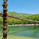 대궐오토캠핑장 이미지