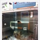 애경동물병원 이미지