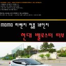 모모사 이미지
