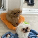 우리의 계절