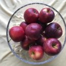 영우농원 이미지