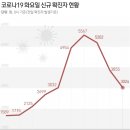 1월 4일 0시 기준 12세 이상 90.5% 접종 완료 이미지