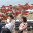 정운농장 이미지