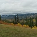 조재현행정사사무소 이미지