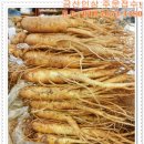 금산인삼 이미지