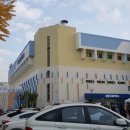 푸른체육관 이미지