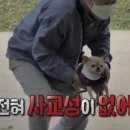 버터플