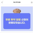행복한정약국 | 내돈내산]강아지 심장사상충약, 하트세이버 미니 츄어블정, 강아지 진드기 예방, 내외부기생충약, 솔직후기