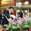 부처님오신날 봉축법요식 이미지