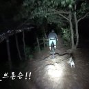 [후기]24/05/10 금 #함지산 노곡동 역사면# 이미지