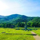 성주산 티스토리