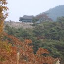 금성(아) 이미지