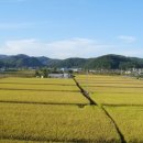 섬배마을 이미지