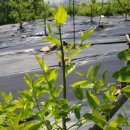 새순2농장 이미지