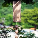 주마간사 (走馬看寺) 사찰기행 잊혀진 절 함월산 기림사 (祈林寺)