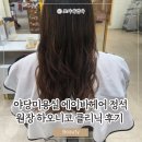 야당미용실 에이바헤어 운정 야당역점 정석 원장님 하오니코 클리닉 관리 후기