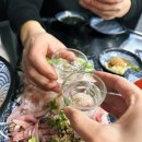 정자역 횟집 추천 더막회 자연산 막회 해산물 회덮밥 맛집