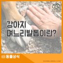 관양동물병원 이미지