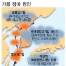 [날씨뉴스]장마 9월 중순까지 지속…7호 태풍 곤파스도 북상 이미지