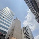 라운지1971 | [서울 명동 놀거리] 명동 로얄호텔서울 클럽스카이라운지에서 명동성당뷰 보며 애프터눈티 즐기기 내돈내산