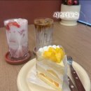 포슬핑이 생각나는 대전 관평동 현대아울렛 근처 케이크 맛집 시즈더포슬