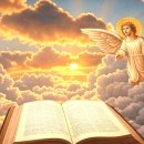 아멘목장 이미지