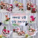 마지않다 이미지