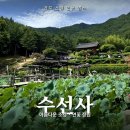 묵곡 | 경남 산청 가볼만한곳 | 수선사 연꽃 포토존 &amp; 동의보감촌 가는길 + 동의보감촌 맛집