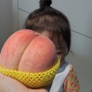 경봉마트 네이버블로그
