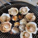 오이도조개구이풍차 | 오이도조개92 본점: 생새우회, 조개구이, 묵은지김밥 | 오이도 조개구이 집 추천, 내돈내산, 후기